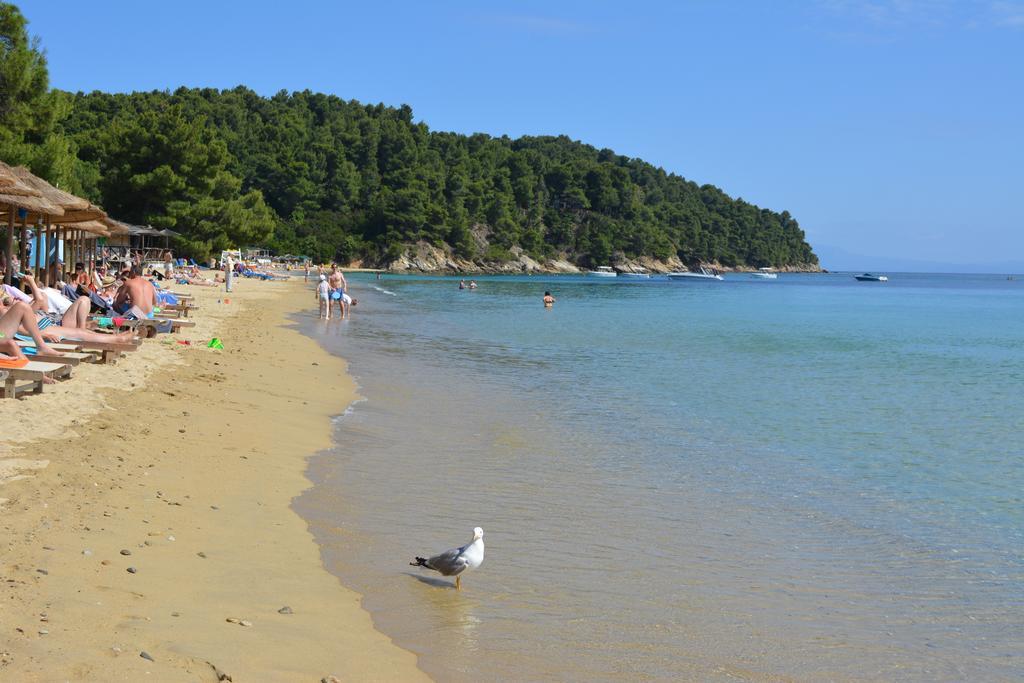 Ostria Aparthotel Agia Paraskevi  Bagian luar foto